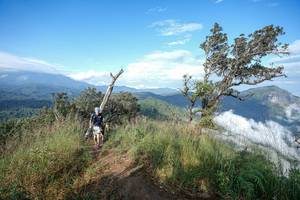 BIB: 
                            <button type="button" onclick="openModal(22371686)" class="btn btn-primary btn-sm float-right btn-popup" data-toggle="modal" data-target=".modal-high-quality">
                        <i class="fas fa-shopping-cart"></i> Add to Cart
                    </button>
                                            <button type="button" onclick="isThisMe(22371686, true)" class="btn btn-success btn-sm float-right btn-popup btn-isme hidden" data-toggle="tooltip" data-placement="bottom" title="นี่คือรูปของคุณใช่ไหม คลิกที่นี่เพื่อเอาเข้าอัลบั้ม">
                        <i class="fas fa-plus"></i> Add to album
                    </button>
                    <button type="button" onclick="isThisMe(22371686, false)" class="btn btn-warning btn-sm float-right btn-popup btn-isnotme hidden">
                        <i class="fas fa-ban"></i> Remove from album
                    </button>